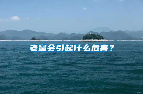 老鼠會引起什么危害？