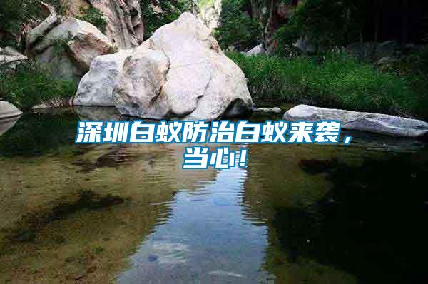 深圳白蟻防治白蟻來襲，當(dāng)心！