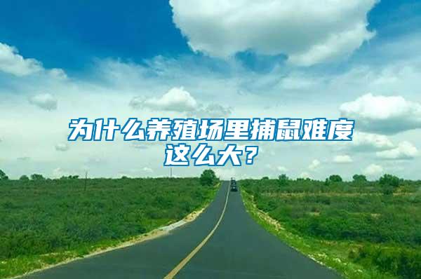 為什么養殖場里捕鼠難度這么大？