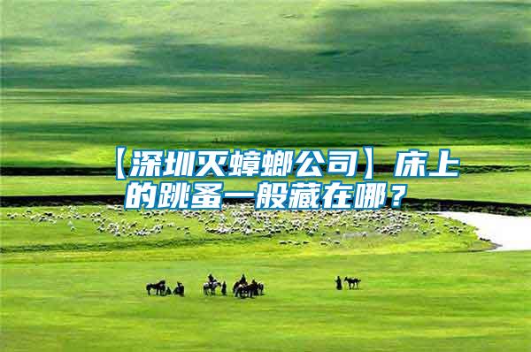 【深圳滅蟑螂公司】床上的跳蚤一般藏在哪?