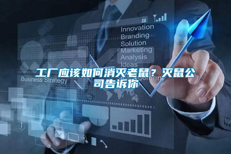 工廠應(yīng)該如何消滅老鼠？滅鼠公司告訴你