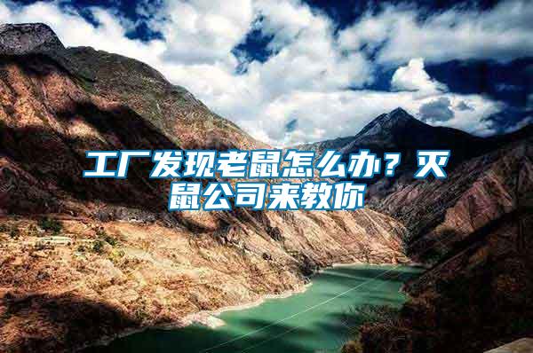 工廠發現老鼠怎么辦？滅鼠公司來教你