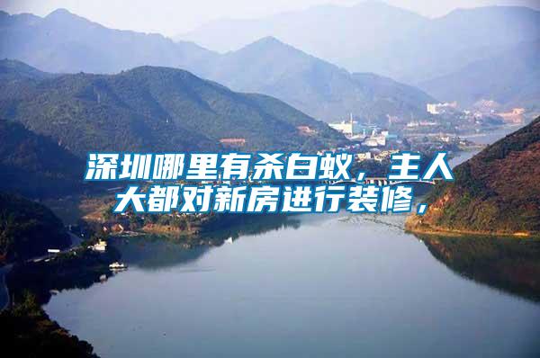 深圳哪里有殺白蟻，主人大都對新房進行裝修，