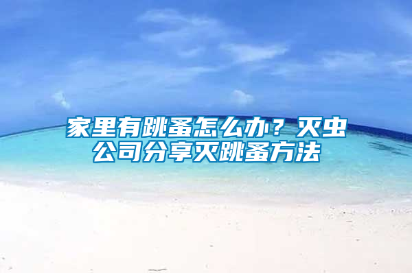 家里有跳蚤怎么辦？滅蟲(chóng)公司分享滅跳蚤方法