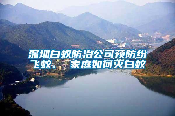 深圳白蟻防治公司預防紛飛蟻、 家庭如何滅白蟻