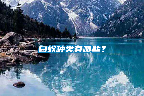 白蟻種類(lèi)有哪些？