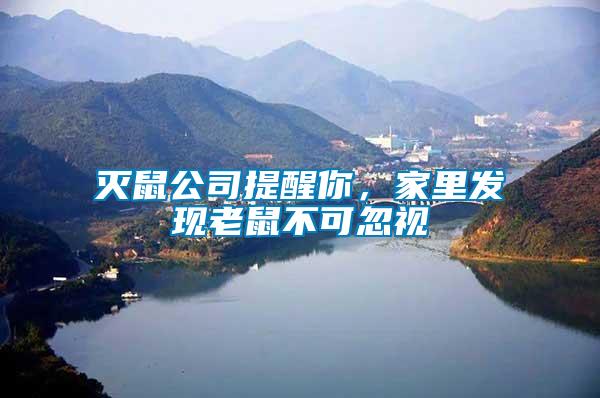 滅鼠公司提醒你，家里發現老鼠不可忽視