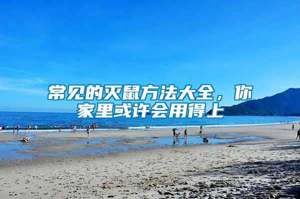 常見的滅鼠方法大全，你家里或許會用得上