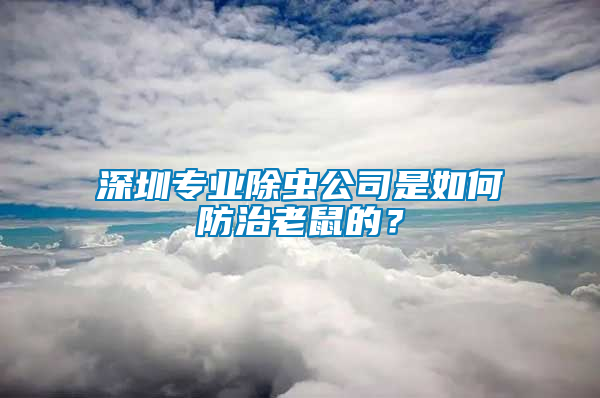 深圳專業除蟲公司是如何防治老鼠的？
