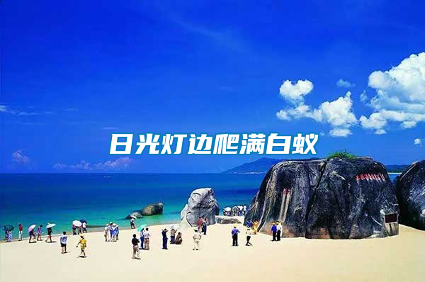 日光燈邊爬滿(mǎn)白蟻