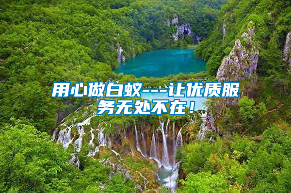 用心做白蟻---讓優(yōu)質(zhì)服務(wù)無(wú)處不在！