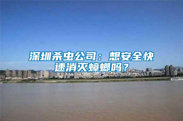 深圳殺蟲公司：想安全快速消滅蟑螂嗎？
