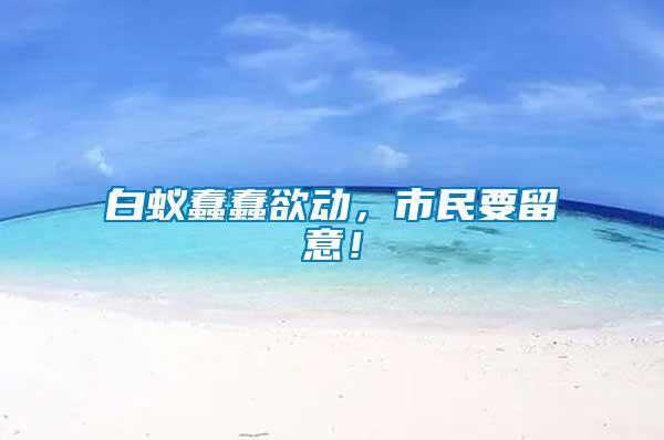 白蟻蠢蠢欲動，市民要留意！