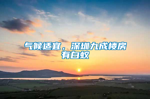 氣候適宜，深圳九成樓房有白蟻