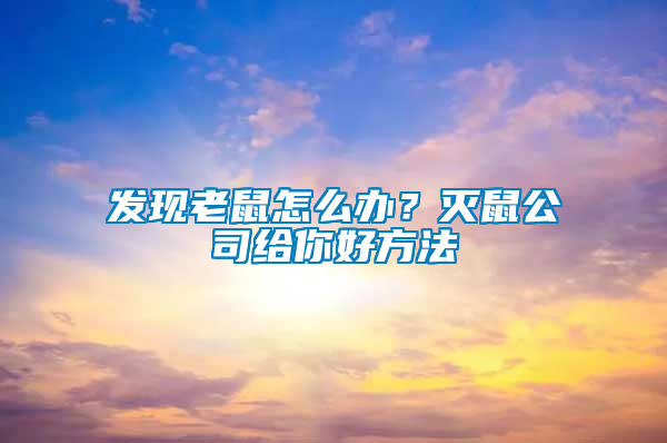 發現老鼠怎么辦？滅鼠公司給你好方法