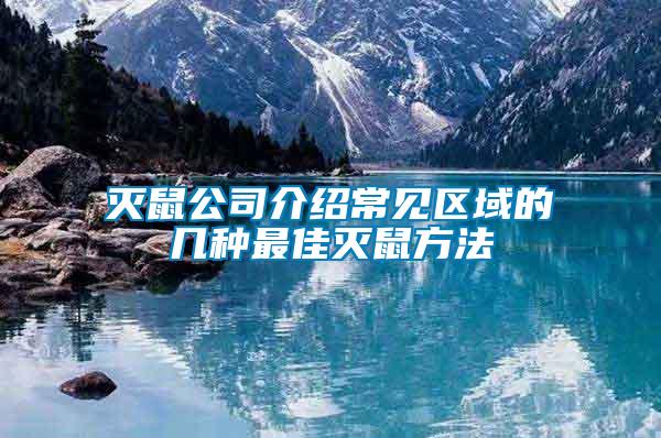 滅鼠公司介紹常見區域的幾種最佳滅鼠方法
