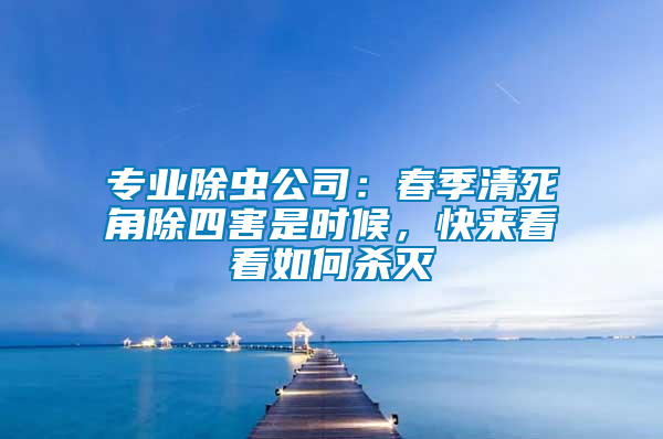 專業除蟲公司：春季清死角除四害是時候，快來看看如何殺滅