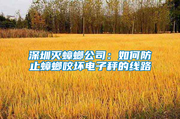 深圳滅蟑螂公司:如何防止蟑螂咬壞電子秤的線路