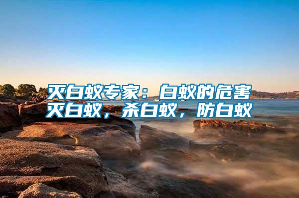 滅白蟻專家：白蟻的危害滅白蟻，殺白蟻，防白蟻