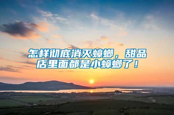 怎樣徹底消滅蟑螂，甜品店里面都是小蟑螂了！