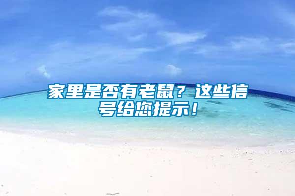 家里是否有老鼠？這些信號給您提示！