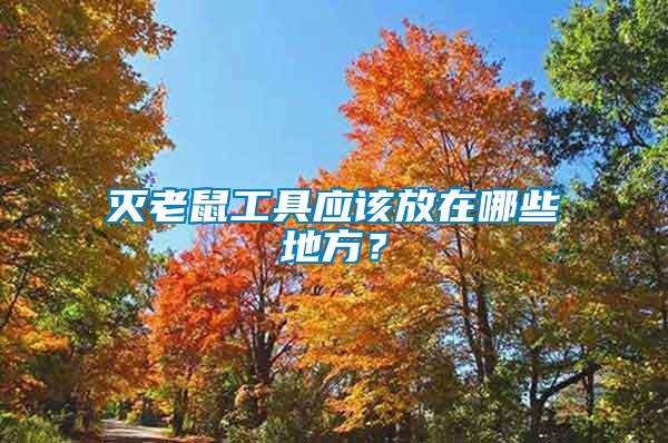 滅老鼠工具應(yīng)該放在哪些地方？