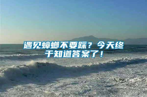 遇見蟑螂不要踩？今天終于知道答案了！