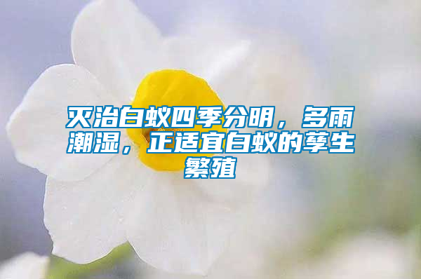 滅治白蟻四季分明，多雨潮濕，正適宜白蟻的孳生繁殖