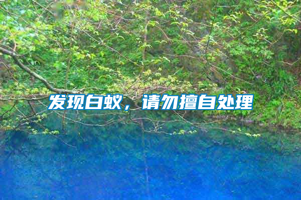 發(fā)現(xiàn)白蟻，請勿擅自處理