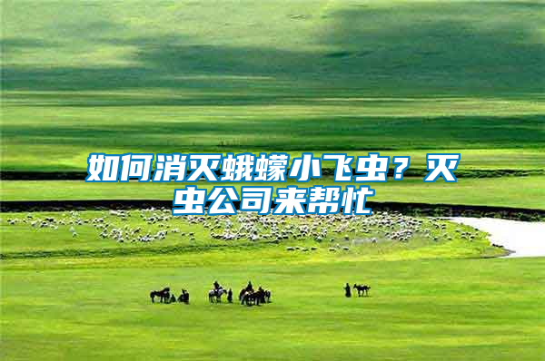 如何消滅蛾蠓小飛蟲？滅蟲公司來幫忙