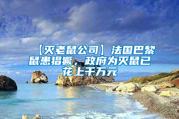 【滅老鼠公司】法國巴黎鼠患猖獗，政府為滅鼠已花上千萬元