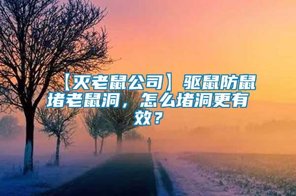 【滅老鼠公司】驅(qū)鼠防鼠堵老鼠洞，怎么堵洞更有效？