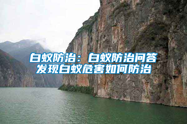 白蟻防治：白蟻防治問答發現白蟻危害如何防治