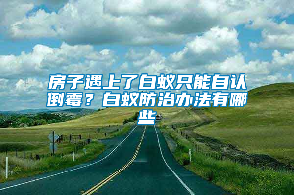 房子遇上了白蟻只能自認倒霉？白蟻防治辦法有哪些