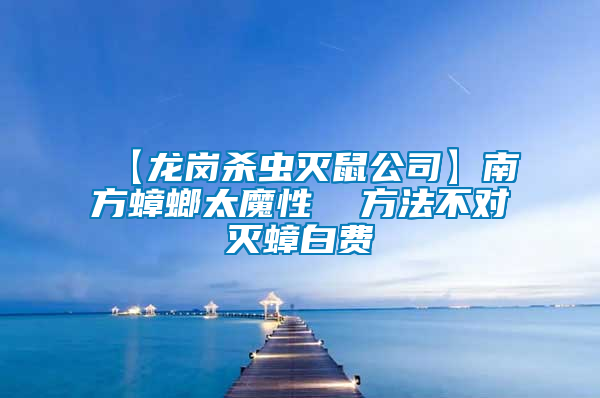 【龍崗殺蟲滅鼠公司】南方蟑螂太魔性  方法不對滅蟑白費(fèi)