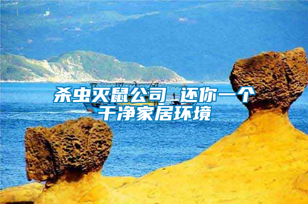 殺蟲滅鼠公司 還你一個干凈家居環境