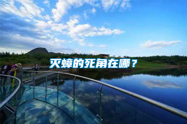 滅蟑的死角在哪？