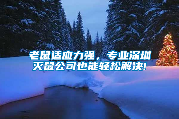 老鼠適應(yīng)力強(qiáng)，專(zhuān)業(yè)深圳滅鼠公司也能輕松解決!