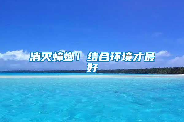 消滅蟑螂！結合環(huán)境才最好
