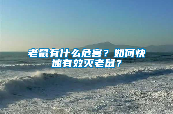 老鼠有什么危害？如何快速有效滅老鼠？