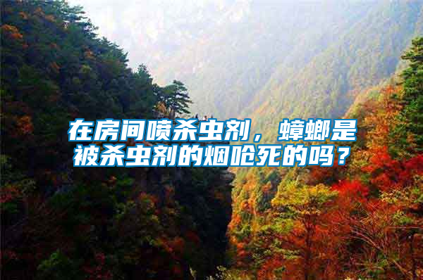 在房間噴殺蟲劑，蟑螂是被殺蟲劑的煙嗆死的嗎？