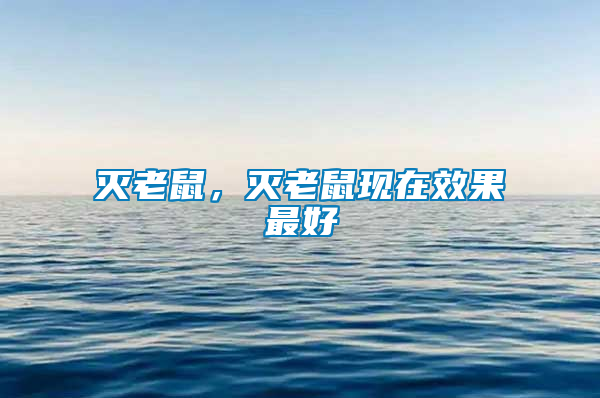滅老鼠，滅老鼠現(xiàn)在效果最好