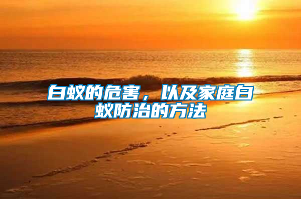 白蟻的危害，以及家庭白蟻防治的方法