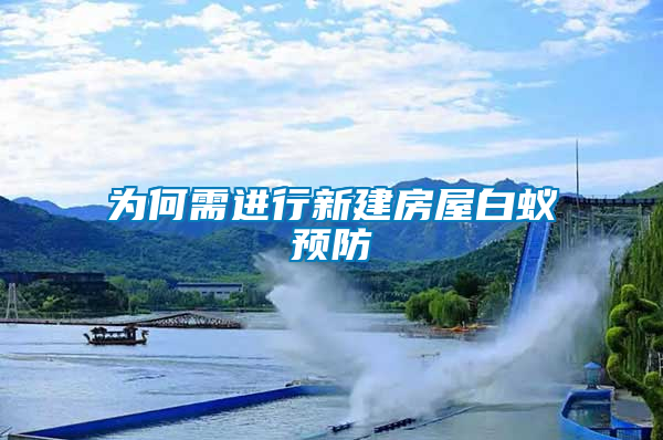 為何需進(jìn)行新建房屋白蟻預(yù)防
