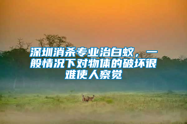 深圳消殺專業(yè)治白蟻,一般情況下對(duì)物體的破壞很難使人察覺
