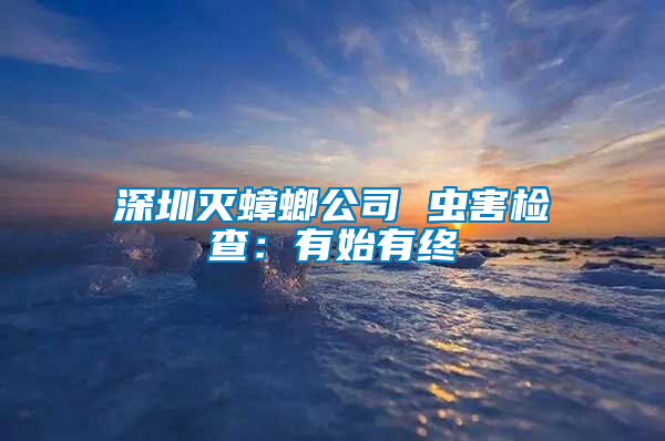深圳滅蟑螂公司 蟲(chóng)害檢查：有始有終