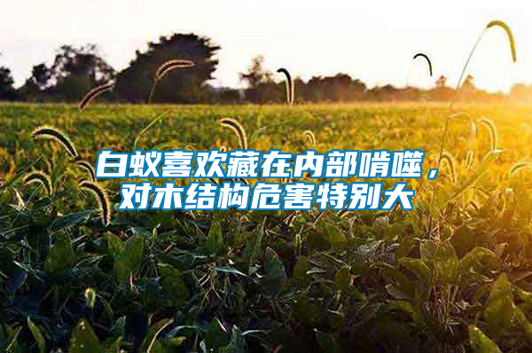 白蟻喜歡藏在內部啃噬，對木結構危害特別大