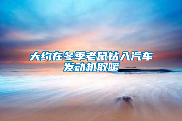 大約在冬季老鼠鉆入汽車發(fā)動(dòng)機(jī)取暖