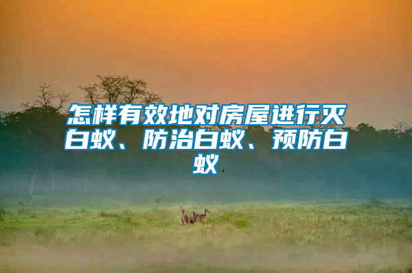 怎樣有效地對房屋進行滅白蟻、防治白蟻、預防白蟻