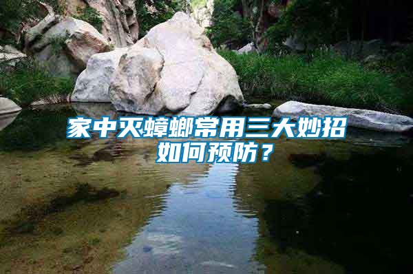 家中滅蟑螂常用三大妙招 如何預防？